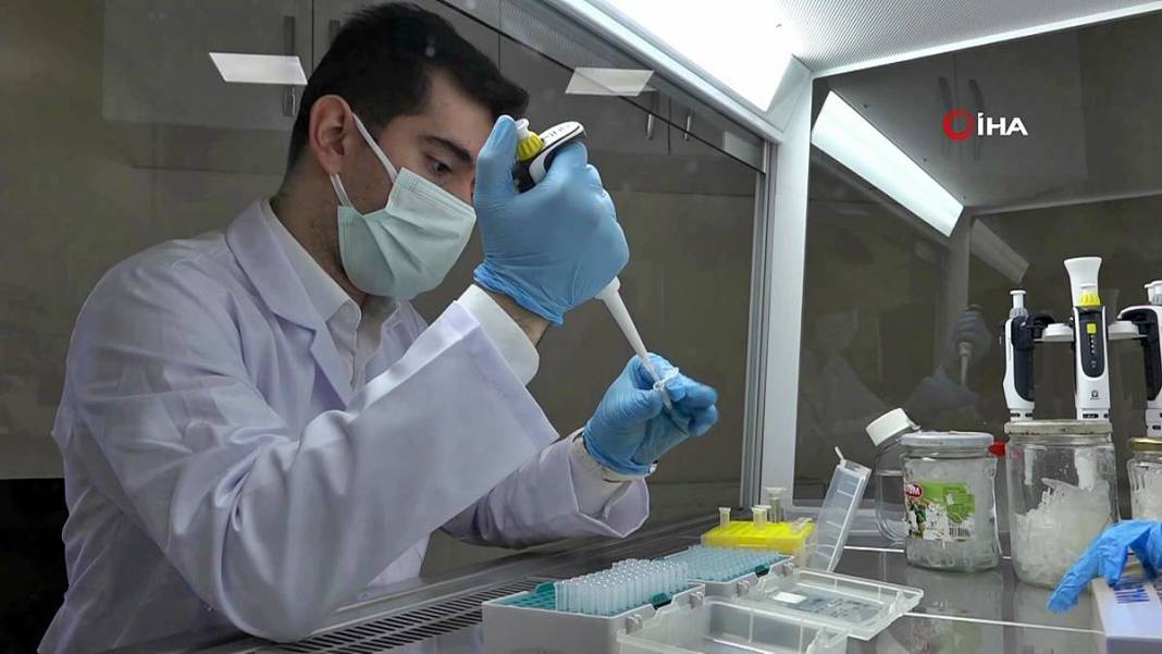 O kentin balı, Fransa'da binlerce markette satılacak! Avrupa Birliği tarafından tescillendi, tonlarca ihraç ediliyor 12